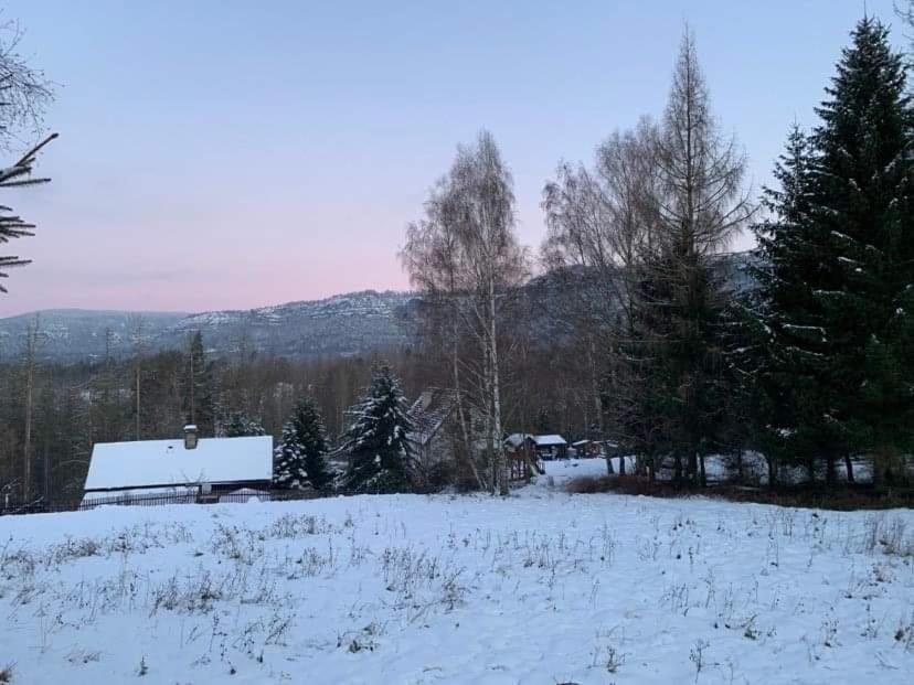 Apartament Mezna 85 Hřensko Zewnętrze zdjęcie